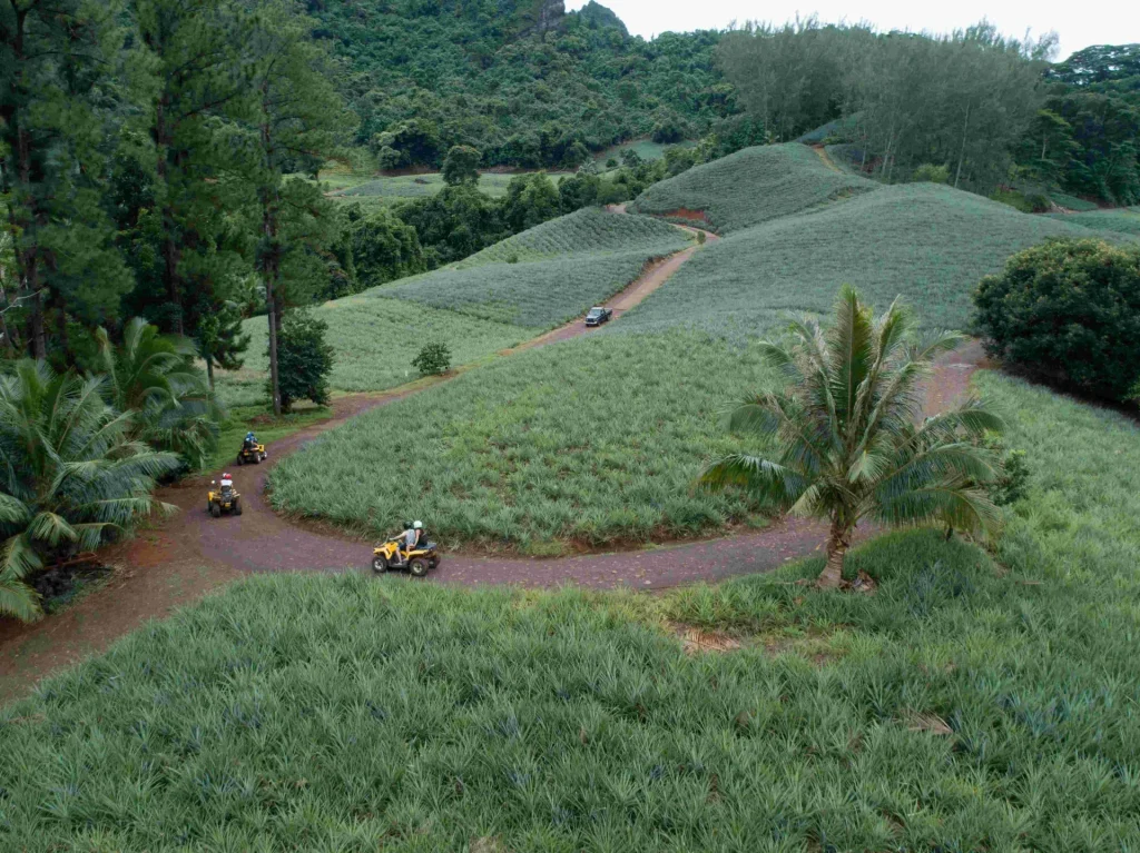 Tour en quad dans les champs d'ananas ©_Tahiti Fly Shoot