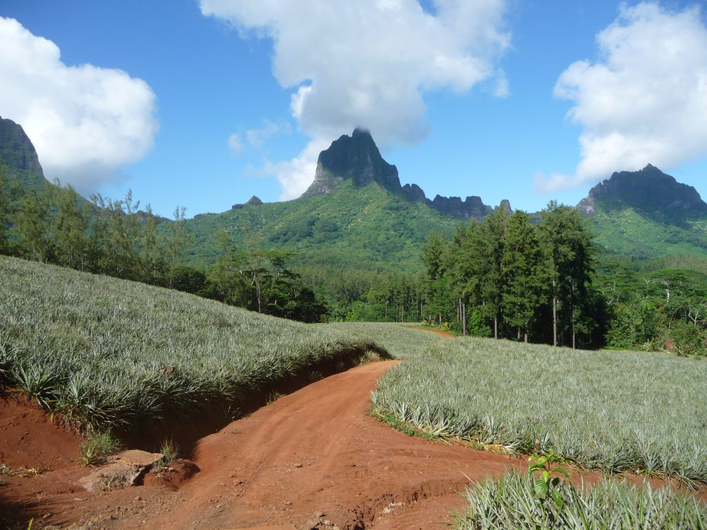 tour de l'ile de tahiti en voiture