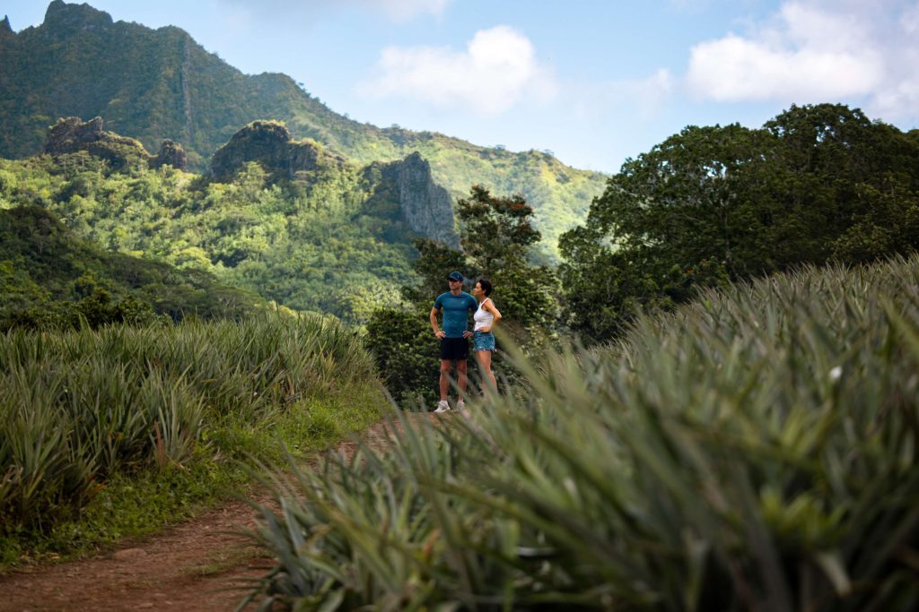 A couple in the middle of a pineapple field © Tahiti Tourisme