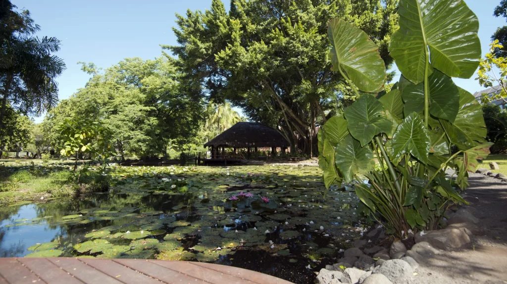 Gardens of the Assembly of French Polynesia © Assembly of French Polynesia