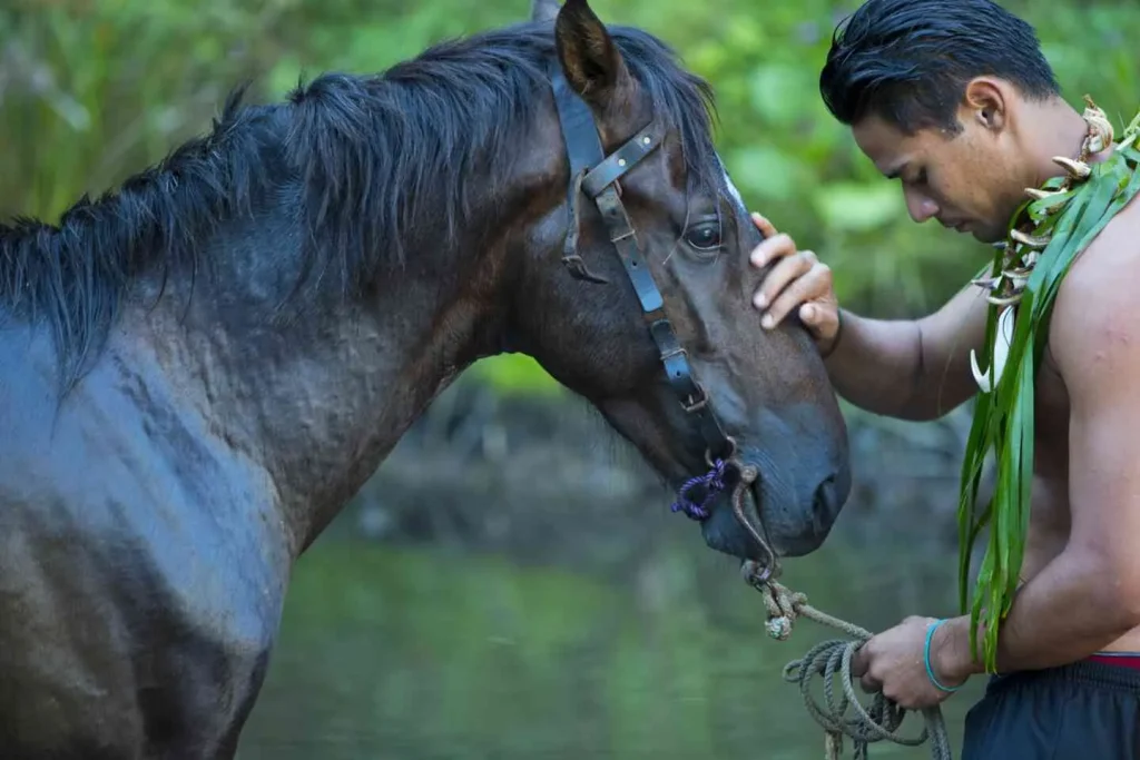 Rider and horse in Hiva Oa © Tahiti Tourisme