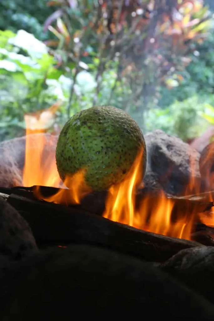 Firing an uru for kaaku © Vincent LYKY