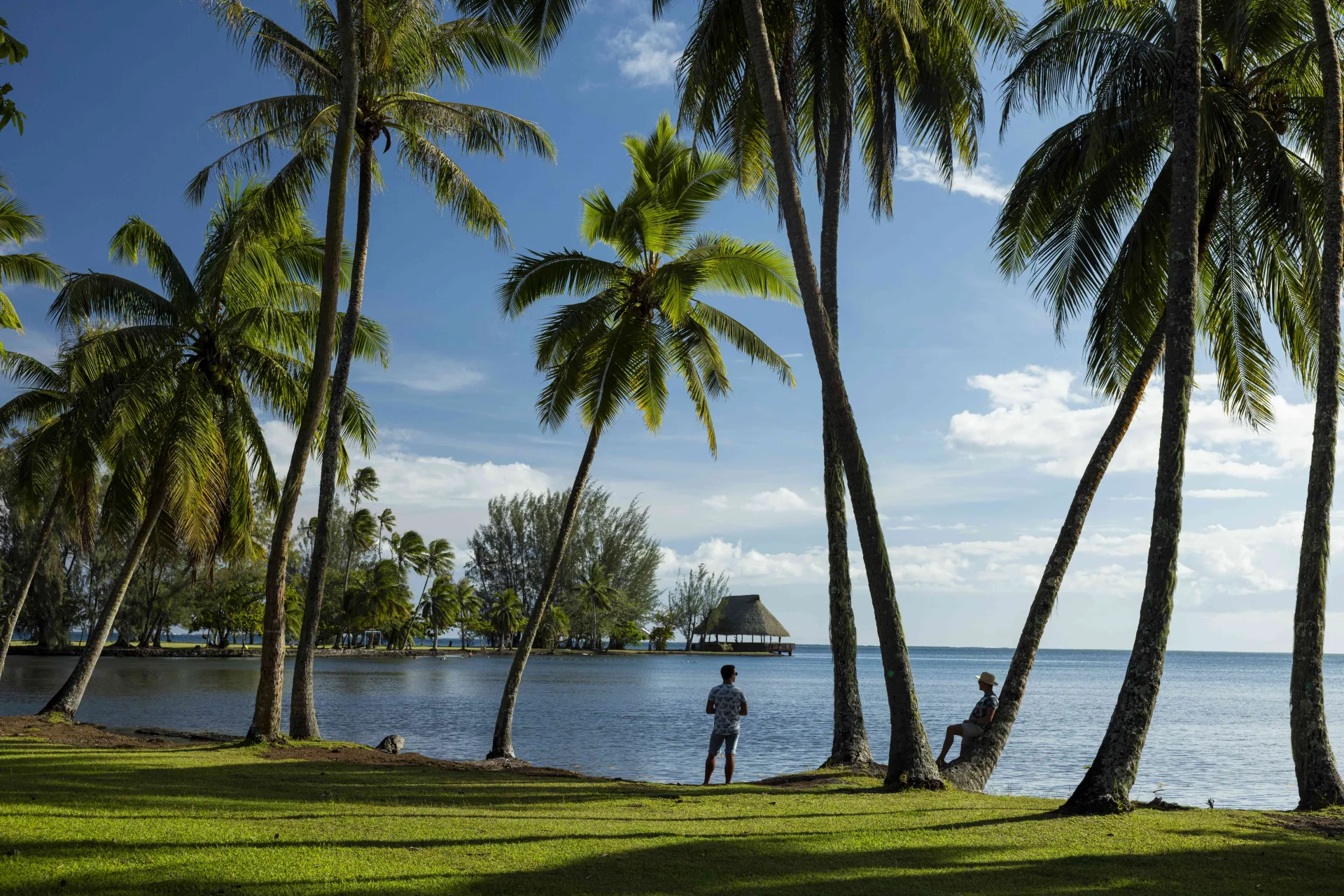 Tahiti Grande