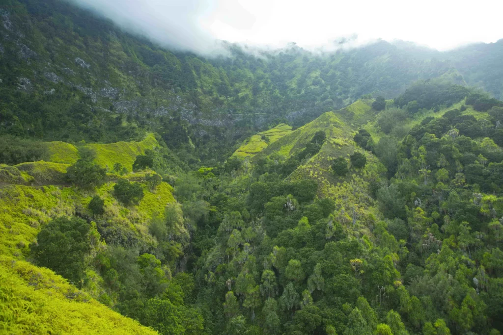Hiva Oa mountain © Tahiti Tourisme
