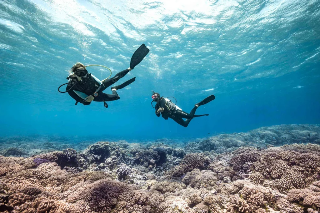 Diving and coral observation © Alexandre Voyer Fakarava