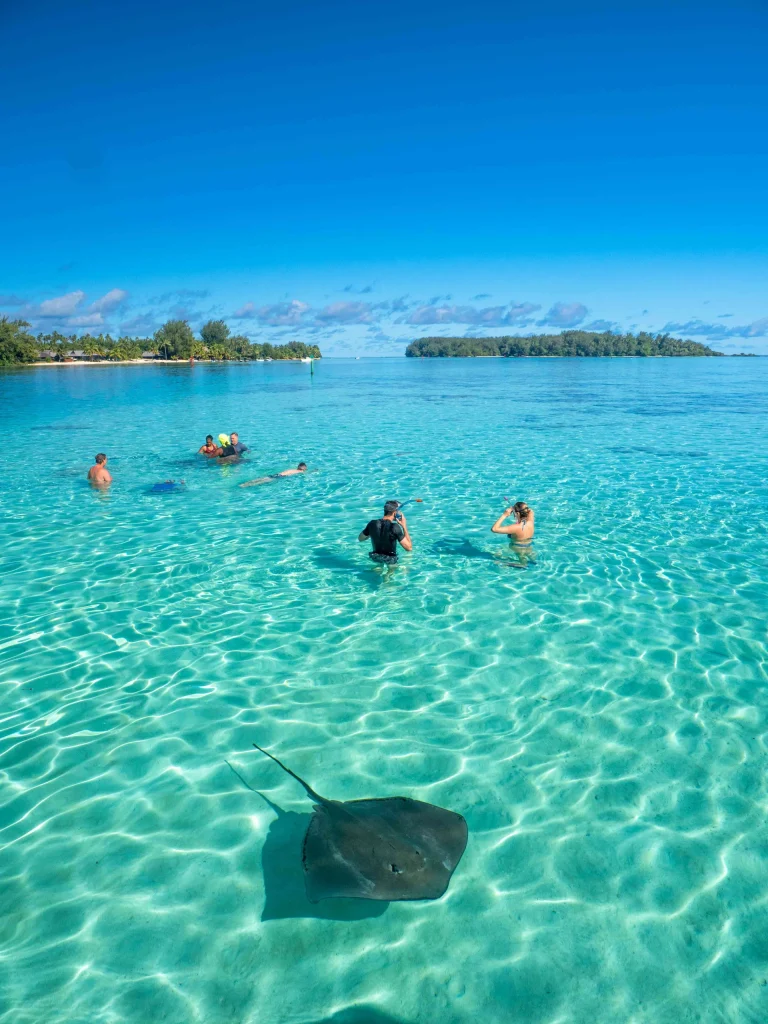 Diving in turquoise water © Mark Fitz