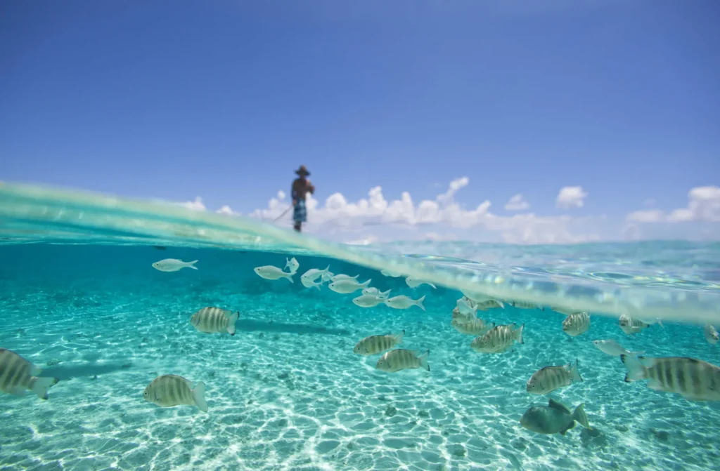 Paddleboarding in the lagoon c Tahiti Tourisme