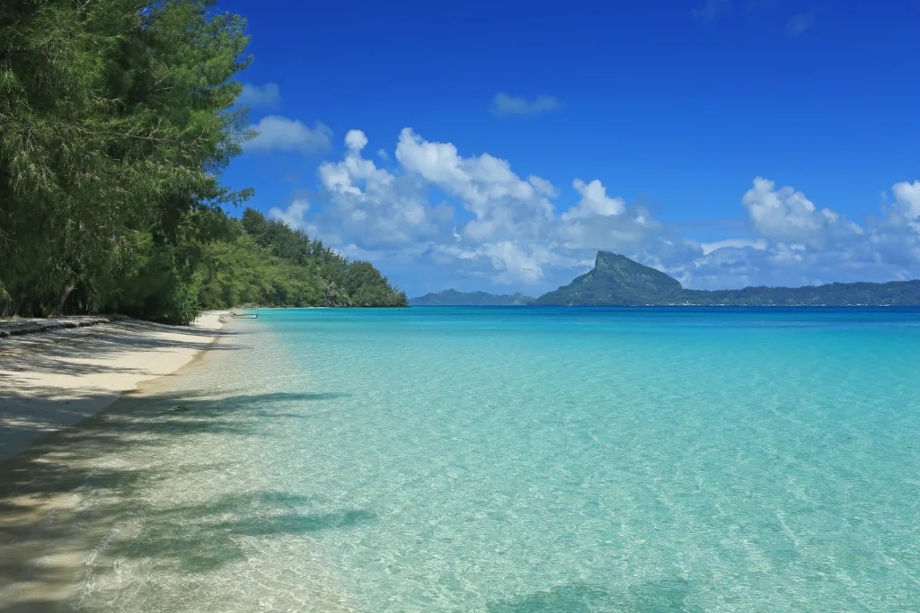 Gambier Islands beach © Gregoire Le Bacon