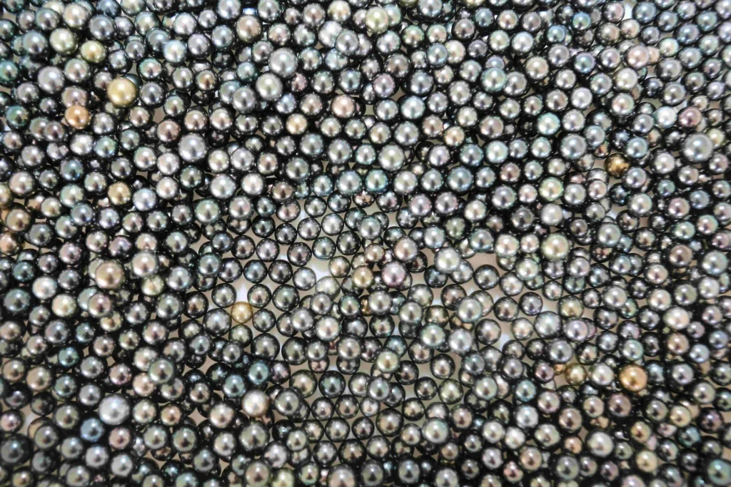 Perles noires de Tahiti © Grégoire Le Bacon
