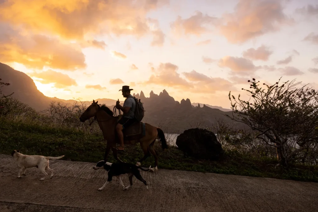 Balade à cheval au coucher du soleil © Grégoire Le Bacon