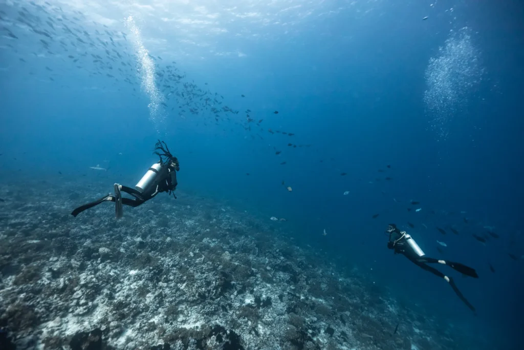 Scuba diving in Rangiroa © Alexandre Voyer