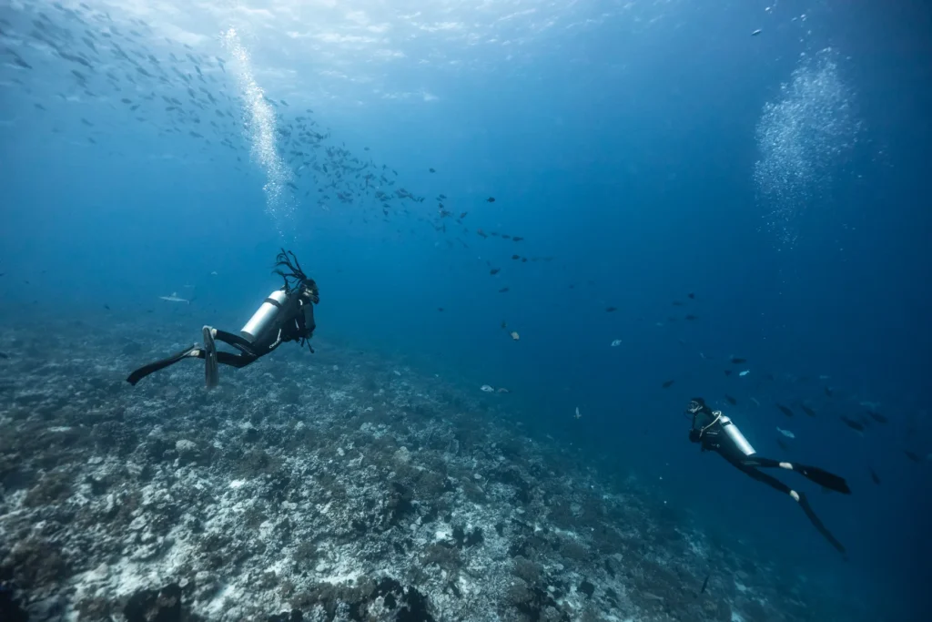 Faire de la plongée sous-marine à Rangiroa © Alexandre Voyer