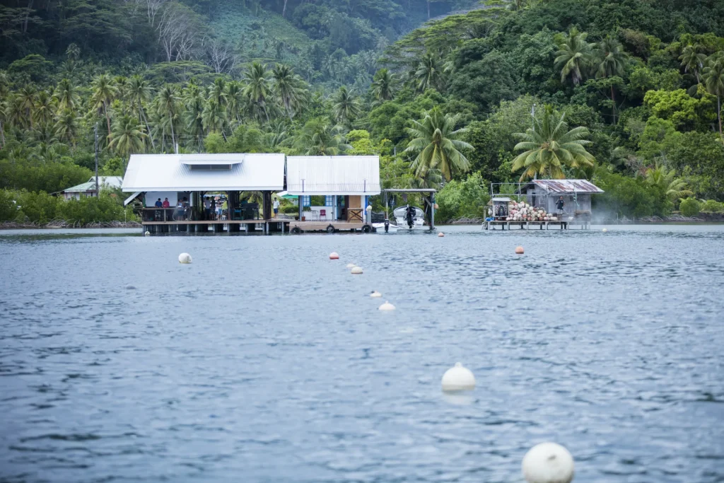 Taha'a pearl farm © Grégoire Le Bacon