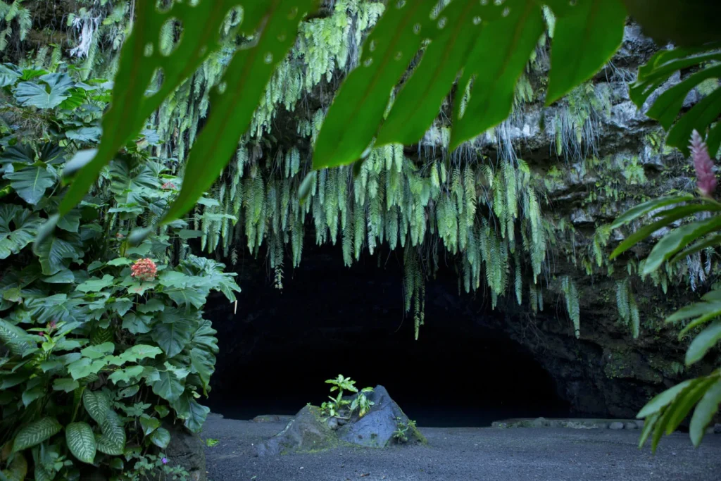 Four days in Fakarava : discover our itineraries and tours - Tahiti Tourisme