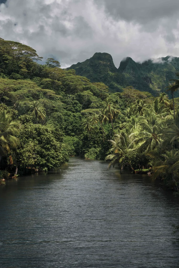 The river at Raiatea©_Alika Photography