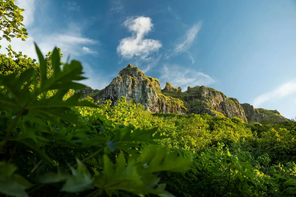 Mount Hiro ©_Grégoire Le Bacon