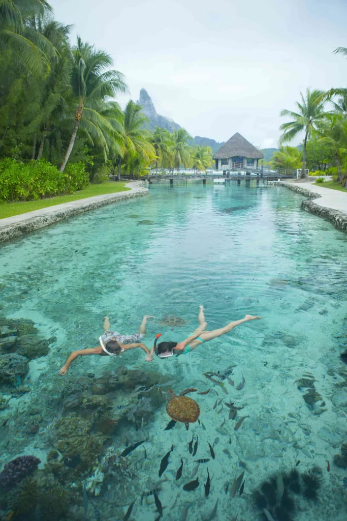 Nager avec des tortues c Tahiti Tourisme