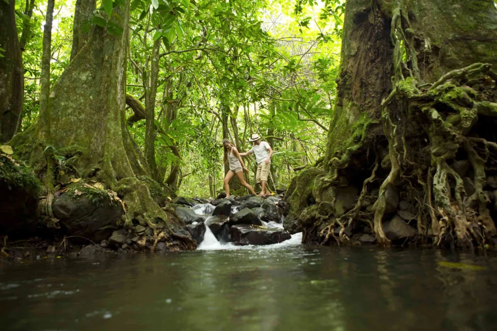 Forest walk © Tahiti Tourisme