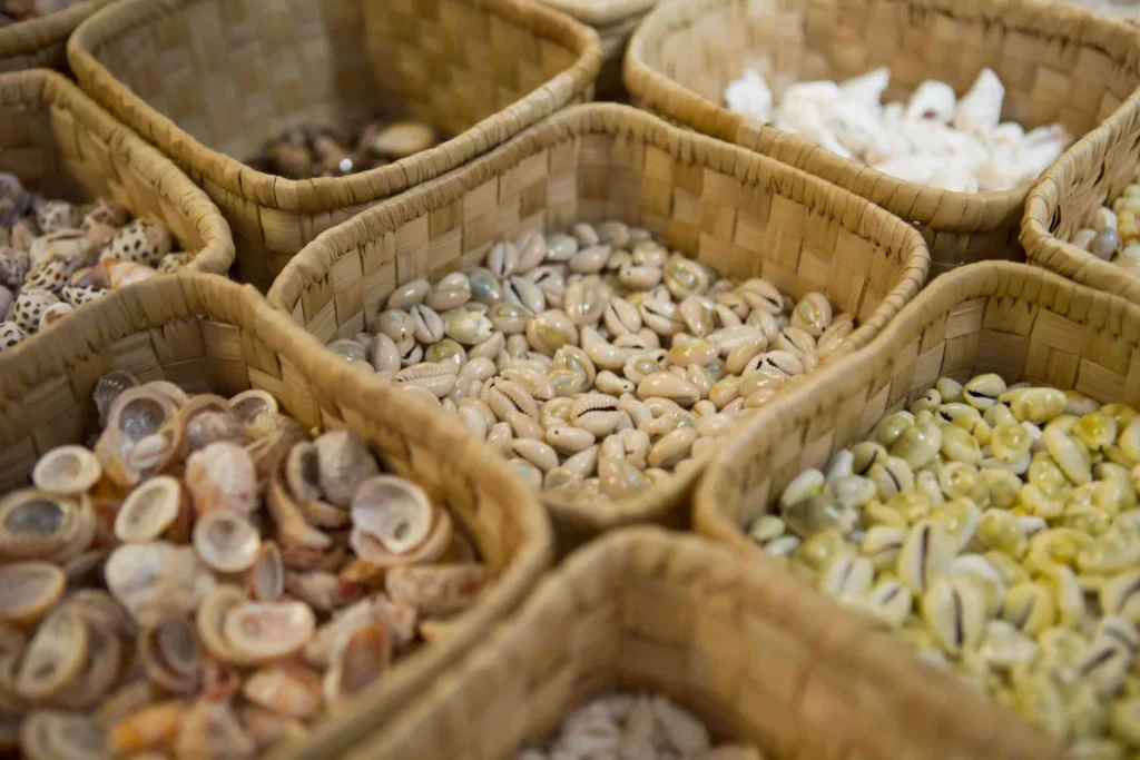 Coquillage de Tikehau © Tahiti Tourisme