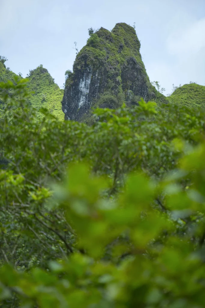 Mountain peak in Tahiti