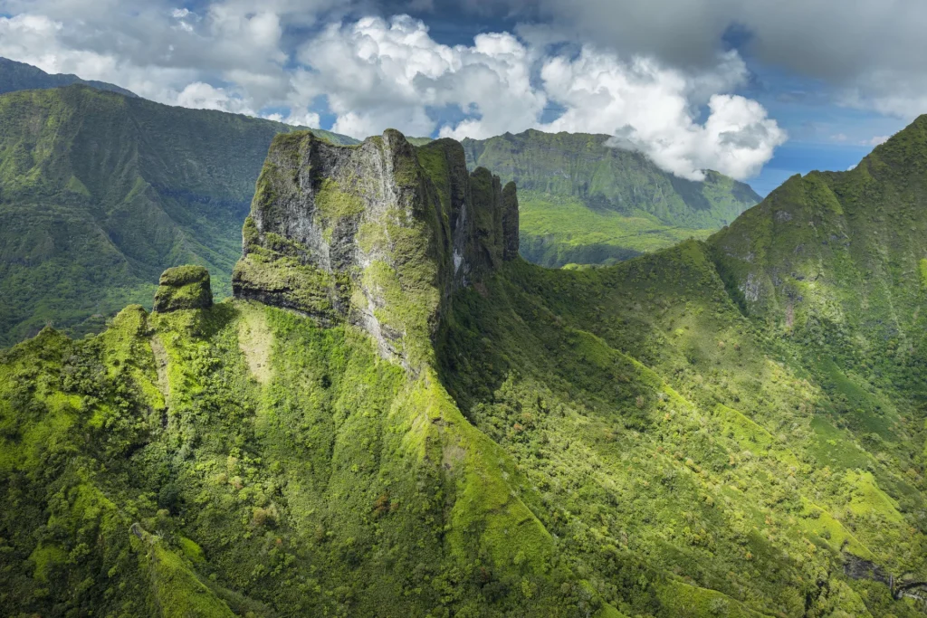 Interior of Tahiti