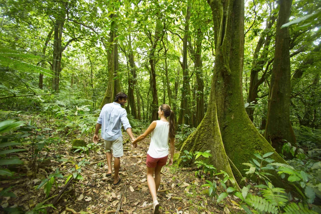 Partir en randonnées © Tahiti Tourisme