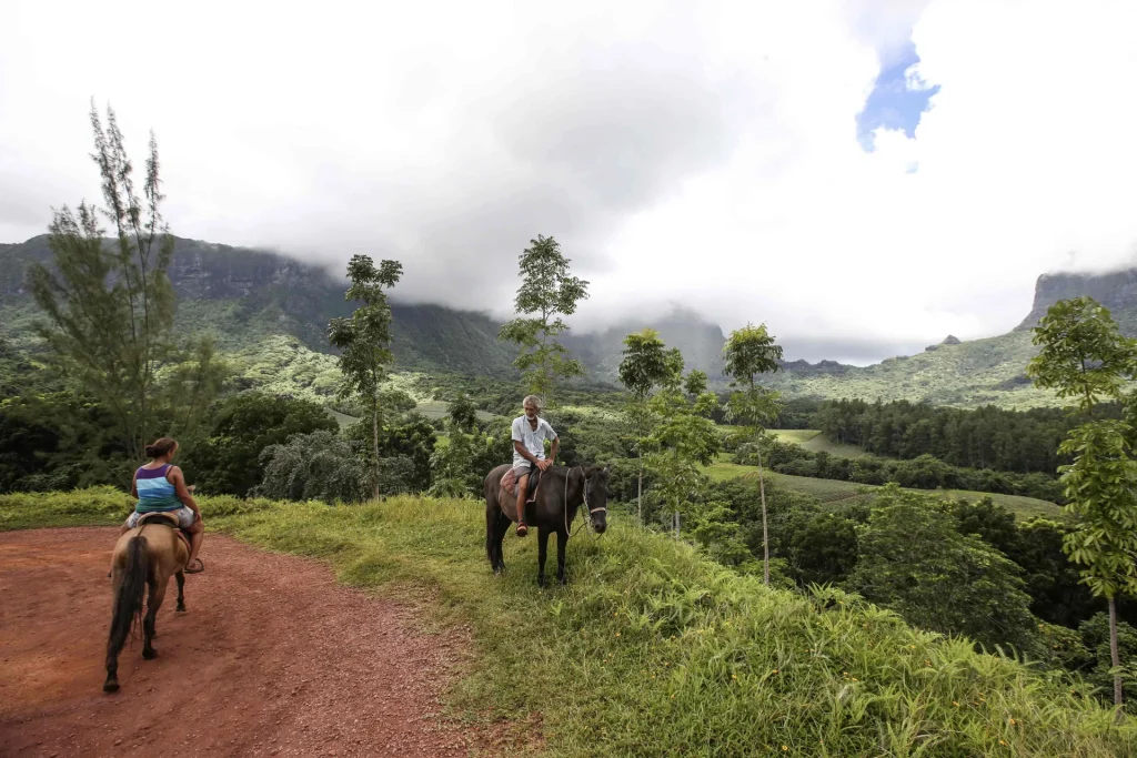 Horseback riding