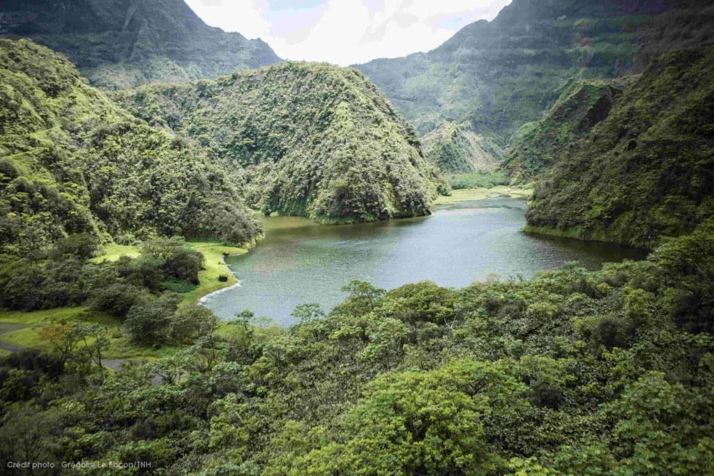 Randonnée au coeur d'une nature préservée à Tahiti© Grégoire Le Bacon Tahiti Nui Helicopters