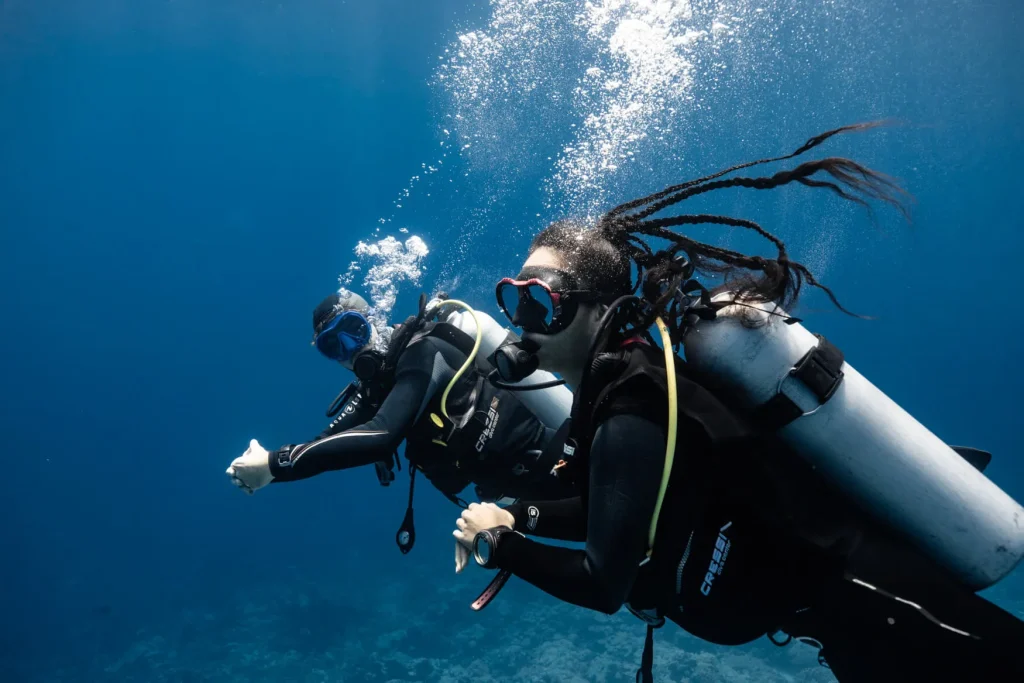 Diving session © Alexandre Voyer