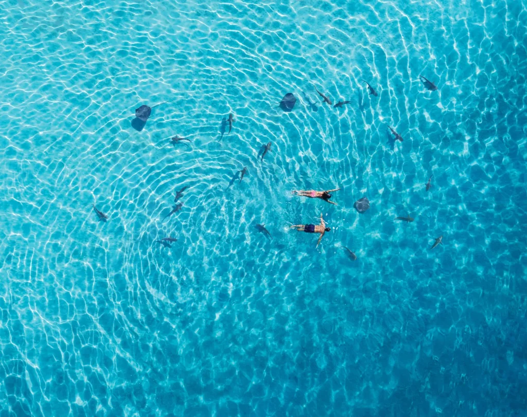 Snorkelling session © Grégoire Le Bacon