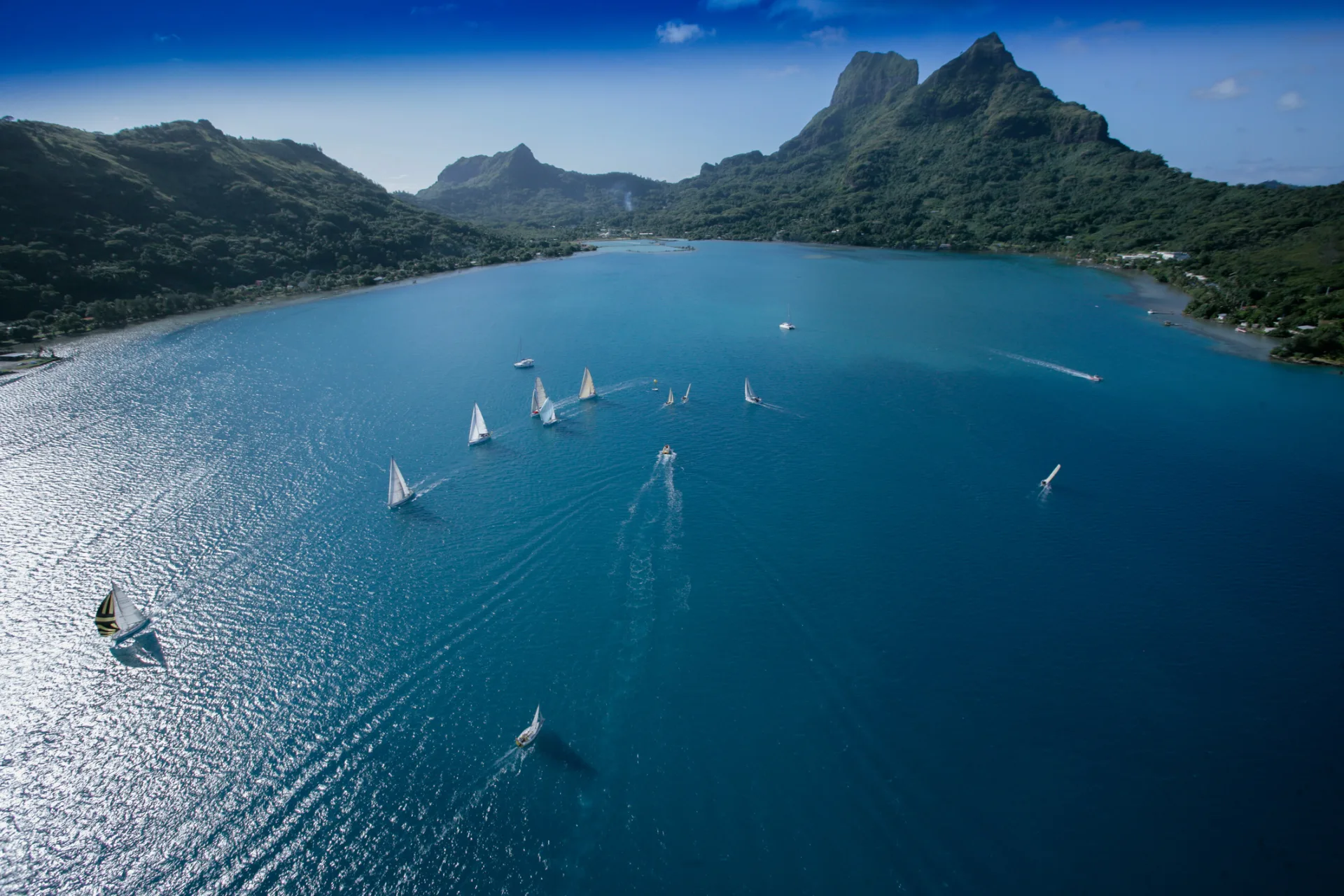 タヒチ・パール・レガッタ - Tahiti Tourisme