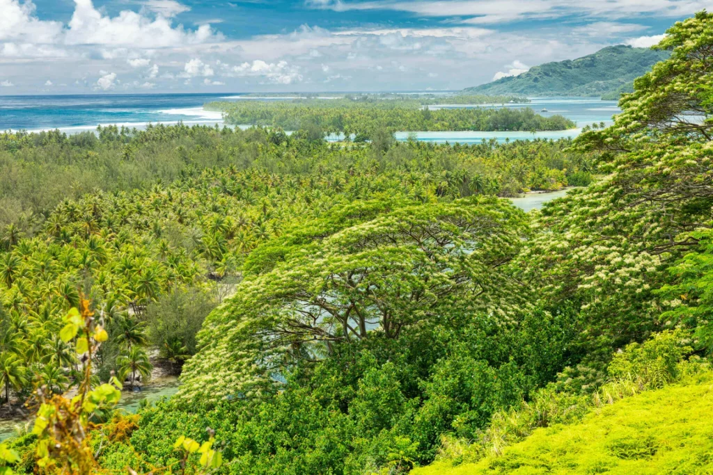 Vue du mont Tapu à Huahine ©_Grégoire Le Bacon