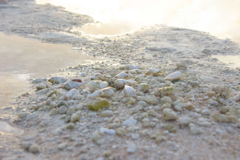 Zoom on the pink sand beaches of Tikehau © Teriitua Maoni