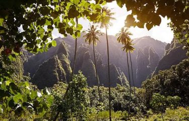 DE TAHITI AUX ILES AUSTRALES