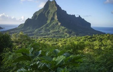 Raiatea