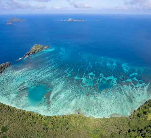 Mangareva