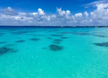 Plongées au paradis – 6 plongées incluses par personne