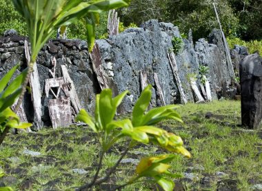 Aventure et Nature en Polynésie : Trek et Plongée
