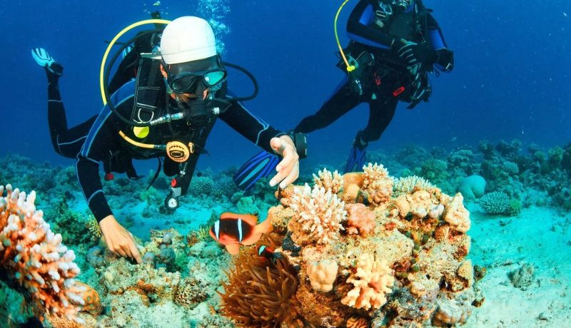 Expérience Plongée en Polynésie : Tout inclus et sur-mesure
