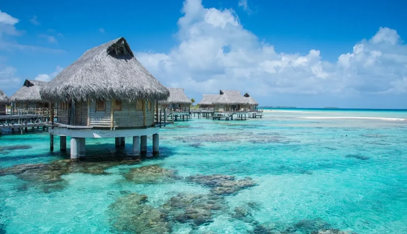Rendez vous avec la Polynésie originelle by Pearl