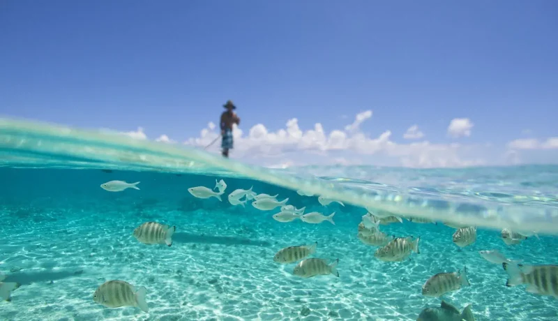 Séjour Polynésie | Expédition Nature aux Tuamotu