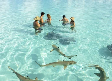 Séjour Éco-Aventure Et Plongée En Polynésie : Lagons, Raies Manta et Requins