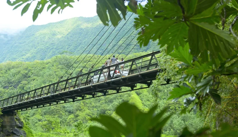 Polynésie Sauvage : trek, nature préservée et immersion culturelle de Tahiti à Maupiti