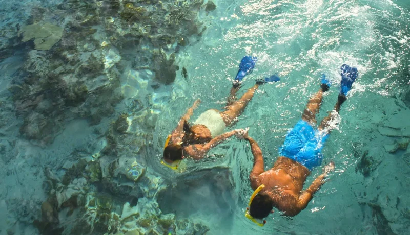 Aventure et Farniente en Polynésie : randonnées tropicales et lagons paradisiaques