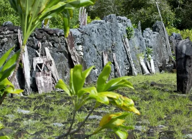 Aventure et Nature en Polynésie : Trek et Plongée
