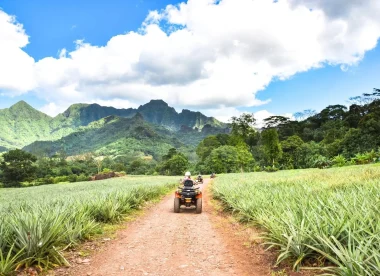 Aventure et Nature en Polynésie : Trek et Plongée