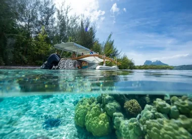 Trésors Cachés de 5 Îles