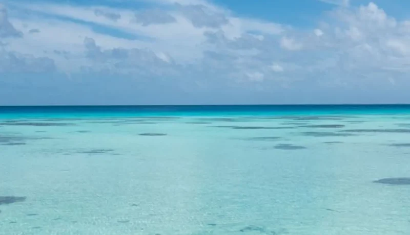 SOCIETE et TUAMOTU : 2 archipels à découvrir en Polynésie