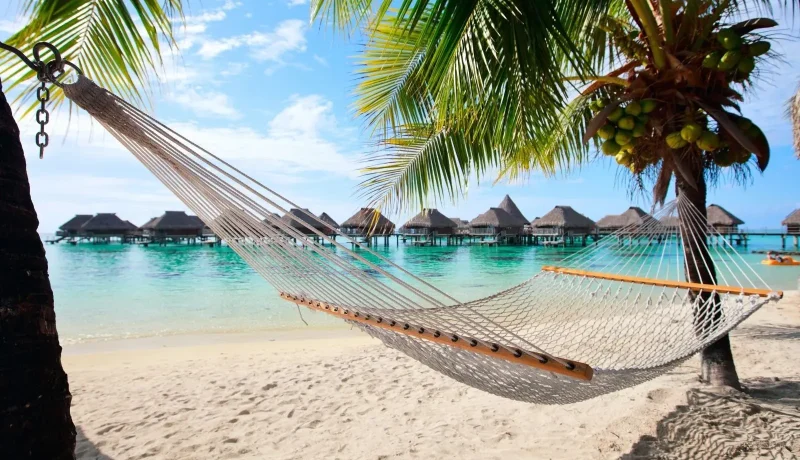 Voyage De Noces Polynésie | Luxe, Romance et Paradis Tropical