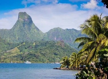 Voyage De Noces Polynésie | Combiné 6 îles en pensions de famille